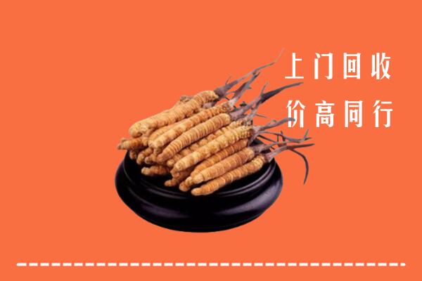 昌邑市回收散虫草