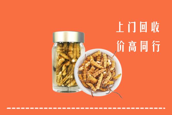 昌邑市回收冬虫夏草